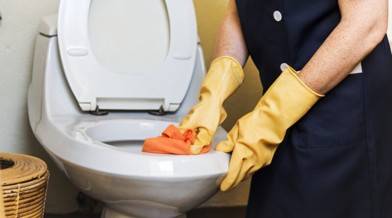 How to Unblock a Toilet