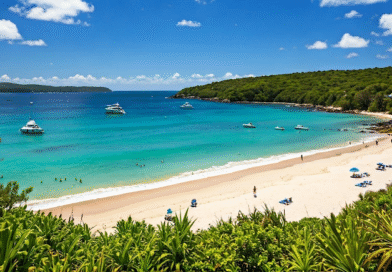 Create Lasting Memories with Hamilton Island Accommodation