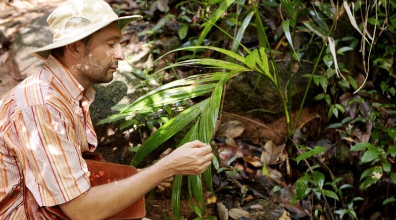 Sustainable Gardening in Australia: The Benefits of Raw Coco Pith for Sediment Control and Soil Health