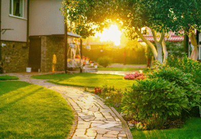 Landscaping Services: Transforming Outdoor Spaces with Expertise and Vision