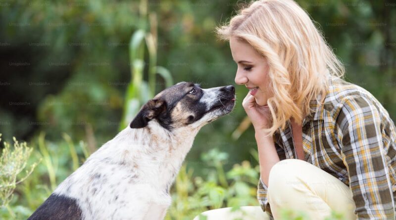 7 Vitamins Your Dog Needs for a Healthy Life 