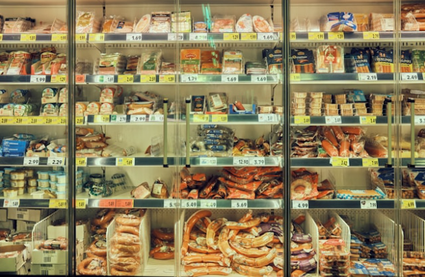 What to Know Before Buying Commercial Freezers: A Complete Guide