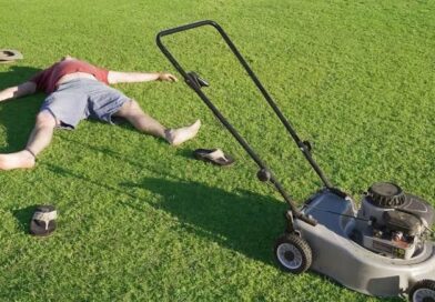 How to Choose the Right Lawn Mowing & Gardening Services in Australia and Why More Homeowners Trust LawnQ