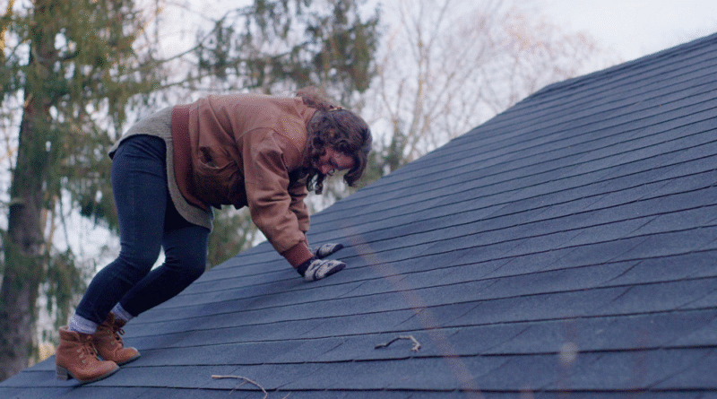 Tips to Choose the Right Roof for Your Shed