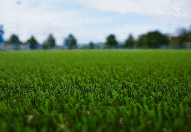 Fundamental Key Factors Affecting Artificial Grass