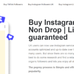 5 Best Sites to Buy Instagram Story Views and Impressions in 2026